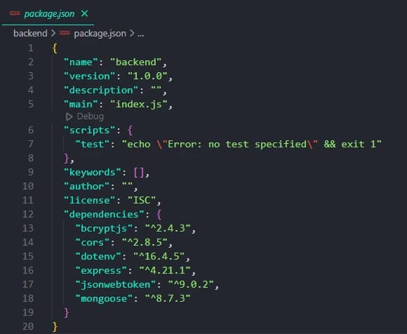 package.json file within backend folder - Techieonix